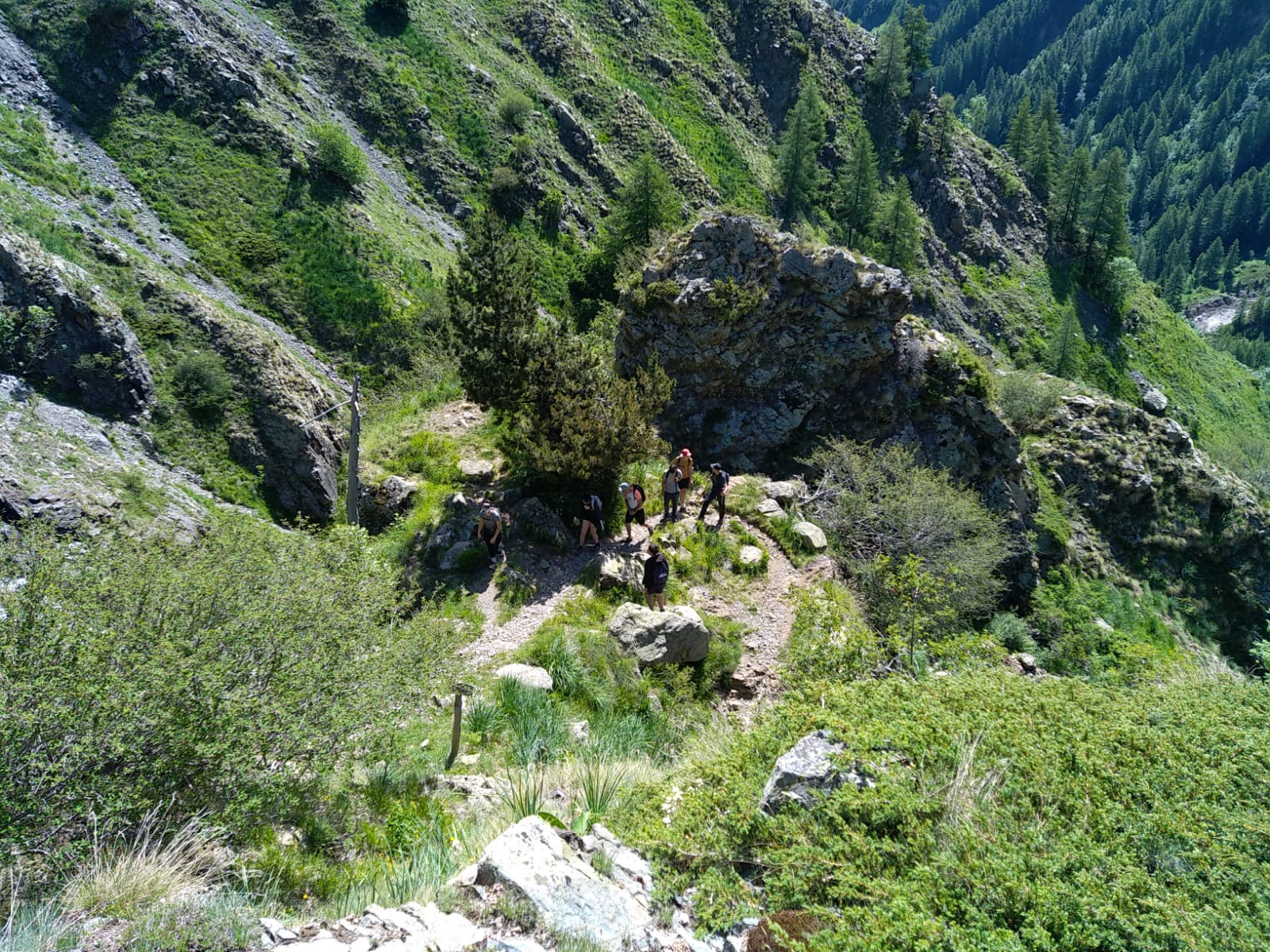 IMG 20260612 WA0001